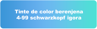 Tinte de color berenjena 4-99 schwarzkopf igora